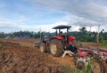 Assistência técnica do Idam, aliada a tecnologia, beneficia agricultores familiares em Caapiranga