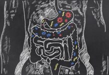 Estudo acha 140 mil vírus no intestino humano. Metade era desconhecida