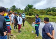 Idam realiza planejamento estratégico para fomentar atividades produtivas no Alto Solimões