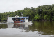 Governo do Amazonas retoma ordenamento pesqueiro do Rio Negro