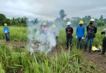 Chega a 70 número de novos brigadistas florestais capacitados para atuar contra queimadas em 2021
