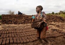 Campanha alerta para urgência em erradicar o trabalho infantil