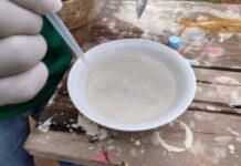 Vigilância em Saúde do Amazonas investiga casos de Febre Chikungunya em Tefé