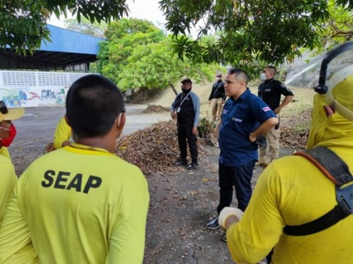 SEAP-012-500x375-1-696x522