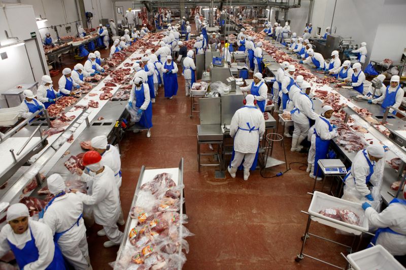 Linha de produção de carne bovina em frigorífico de São Paulo