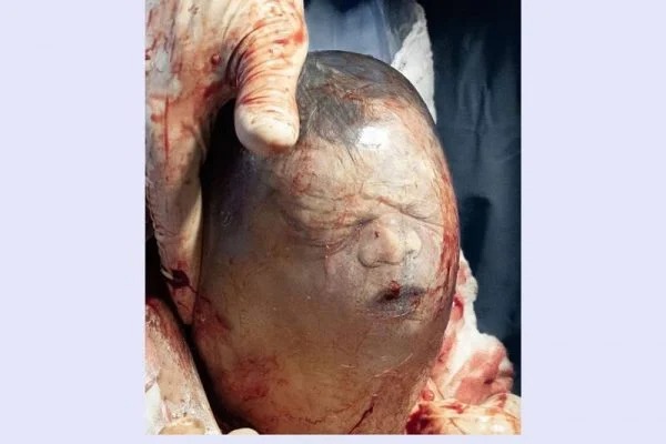 WhatsApp Image 2021-11-15 at 21.01.07