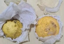 Prefeito de Jutaí é preso em flagrante com mais de 250g de ouro ilegal pela Polícia Federal