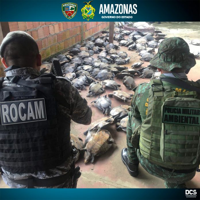 2cad860dbd3e08c953b93743d614eda8-696x696