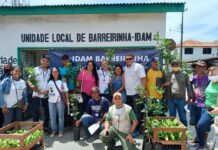 Governo do Estado incentiva produção rural em três municípios do Baixo Amazonas