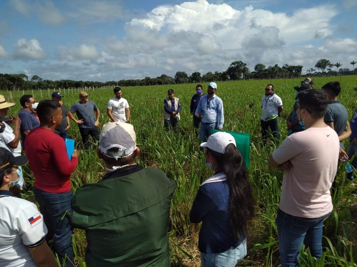 Idam_Excursao-Pecuaria-Presidente-Figueiredo-2-1568x1176