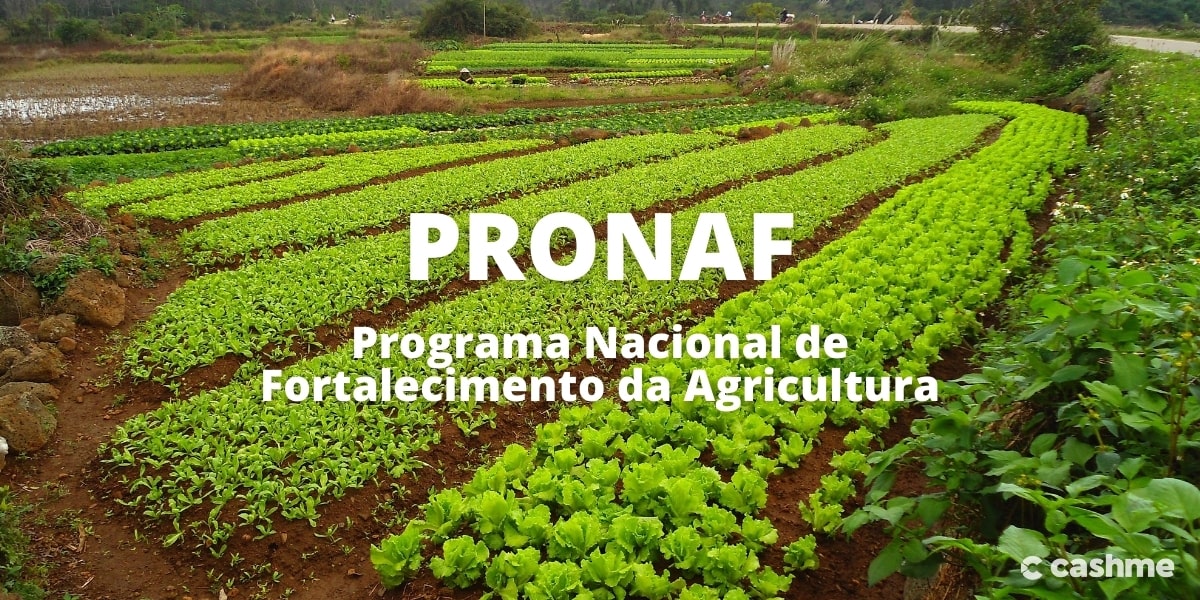 Programa-Nacional-de-Fortalecimento-da-Agricultura-min