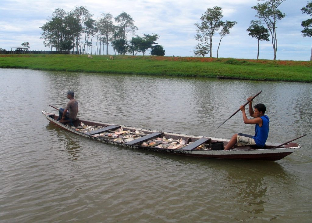 WhatsApp-Image-2022-03-14-at-16.28.44-1024x731