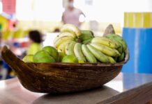 Alimentação saudável e funcional com produtos amazônicos é tema de podcast