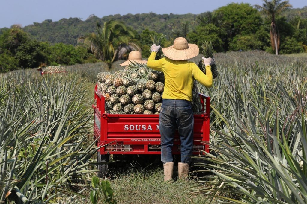 WhatsApp-Image-2022-04-06-at-11.51.06-1024x682