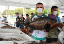 Governo do Estado realiza Feirão do Pescado Semana Santa 2022 de 13 a 15 de abril, em três pontos da capital