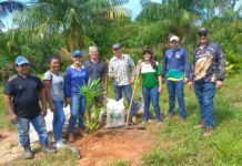 Governo do Amazonas, por meio do Idam, investe em capacitação no cultivo de açaí em Humaitá