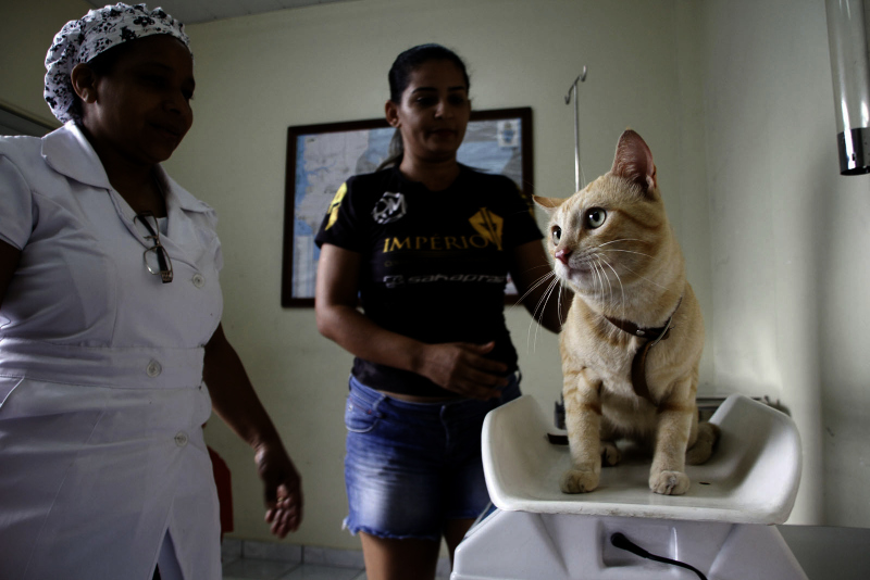 Junho_20 CCZ Arquivo 1(1)