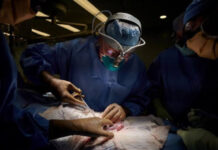 Doação de rins reduz e quase 400 amazonenses entraram na fila para fazer transplante desde 2020