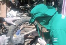 Saúde do Amazonas alerta para prevenção a doenças transmitidas pelo Aedes aegypti