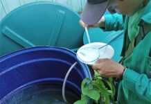 Saúde intensifica monitoramento da dengue em municípios do Amazonas