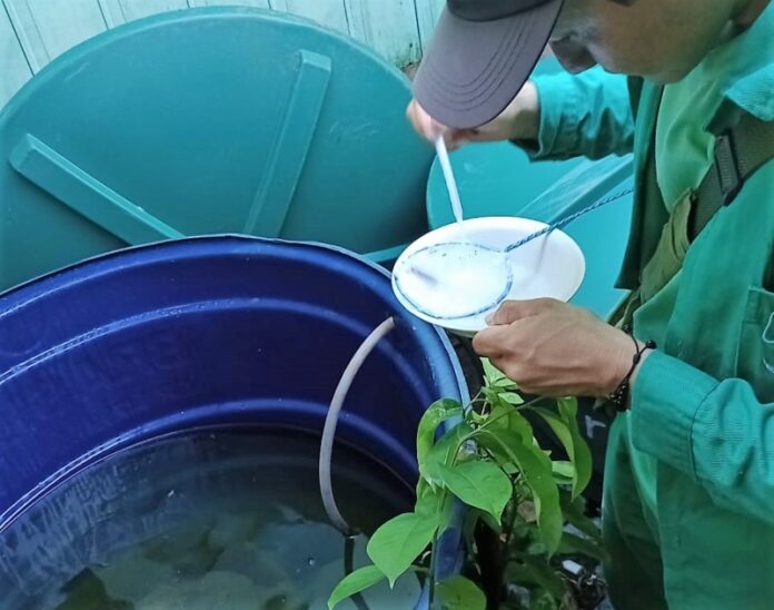 FVS-RCP_Monitoramento-de-dengue_FOTO-Divulgacao-FVS-RCP-2