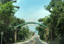 Ufam oferta 34 vagas para mestrado em Psicologia, no AM