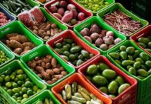 Nutricionista indica vegetal barato que ajuda a evitar osteoporose