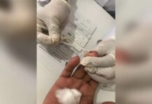 Com mais de 160 casos de HIV registrados apenas em 2023, Manaus passa a ofertar PEP em UBSs