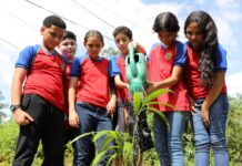 Prêmio internacional abre inscrições para escolas com projetos de sustentabilidade