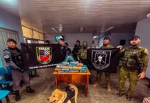 Operação Hórus/Fronteira Mais Segura já causou R$ 1,4 bilhão de prejuízo ao crime no Amazonas