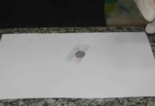 Peritos do Amazonas desenvolvem técnica para detecção preliminar de cocaína preta