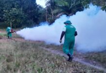 Malária: FVS-RCP realiza apoio técnico para combate à malária em Maués