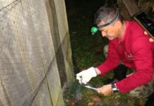 Vigilância intensificada: FVS-RCP realiza controle de ‘morcegos vampiros’ de forma suplementar em municípios do Amazonas