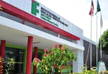 Ifam anuncia mais de 3 mil vagas para cursos técnicos e de graduação em 2024
