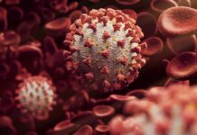 HV.1: o que se sabe sobre a nova variante do coronavírus