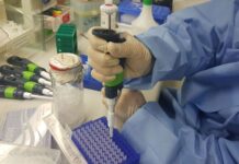 Ano novo: conheça os exames de check-up para iniciar 2024 com a saúde em dia