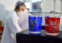 Festival de Parintins 2024: Governo do Amazonas realiza processo de envasamento de 500 mil copos para distribuir na ação ‘Água nas Torcidas’