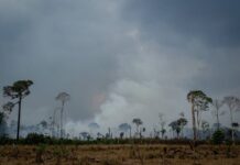 Amazônia: seca extrema afeta preços, transporte, queimadas e saúde