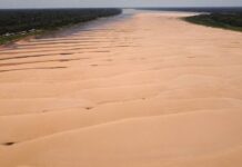 Com 9 grandes rios críticos, Amazônia pode ter novo recorde de seca