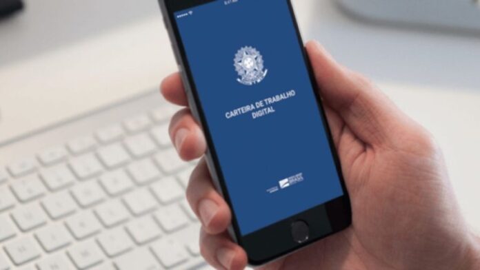 befunky_2025-8-2_16-43-50