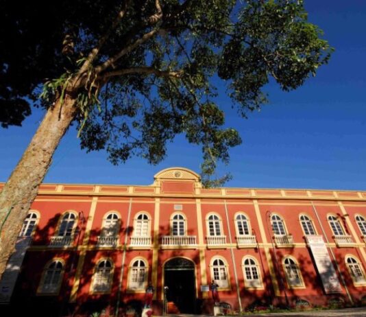 De oficinas a exposições, programação gratuita da Primavera dos Museus segue até domingo