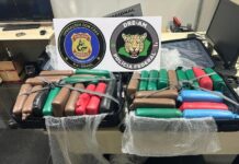 PF prende passageira com mais de 35kg de drogas no Aeroporto de Manaus