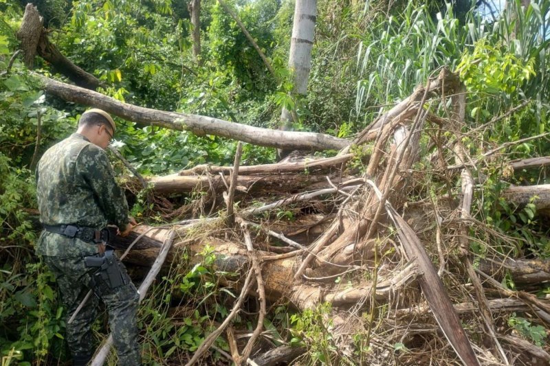 fazendeiro-jacare-desmatamento