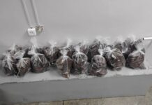 Operação policial apreende Cocaína avaliada em R$ 19,5 milhões em mansão na Ponta Negra