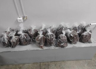 Operação policial apreende Cocaína avaliada em R$ 19,5 milhões em mansão na Ponta Negra