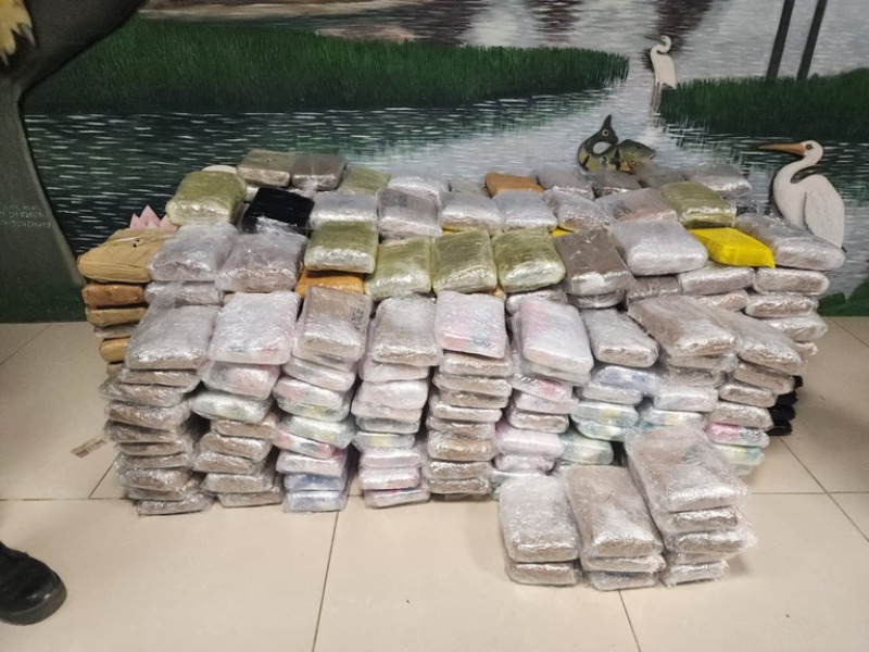 befunky_2025-9-1_7-36-45