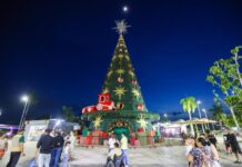 Natal 2025: Pista de gelo está sendo montada na Ponta Negra