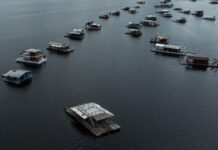 MPAM e DPE-AM pedem execução gradual da retirada de flutuantes no Tarumã-Açu