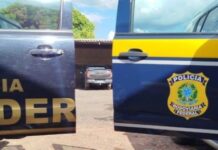 PF e PRF prendem homem por crime ambiental e posse irregular de arma de fogo no Amazonas