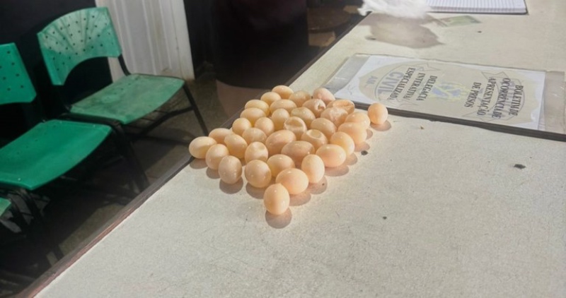 befunky_2025-9-4_9-44-12